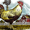 rooster.jpg