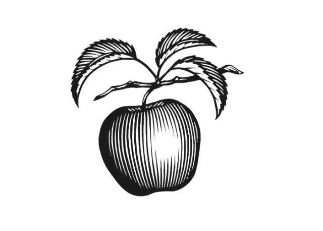 Apple_Woodcut