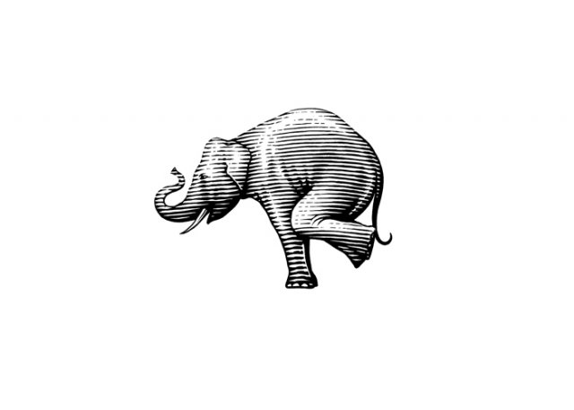 Balancing-Elephant
