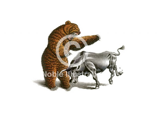 Bear-vs-Bull