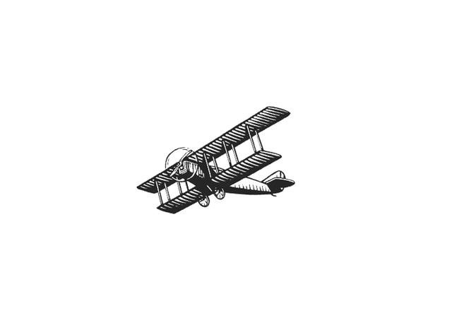 Bi-plane-3