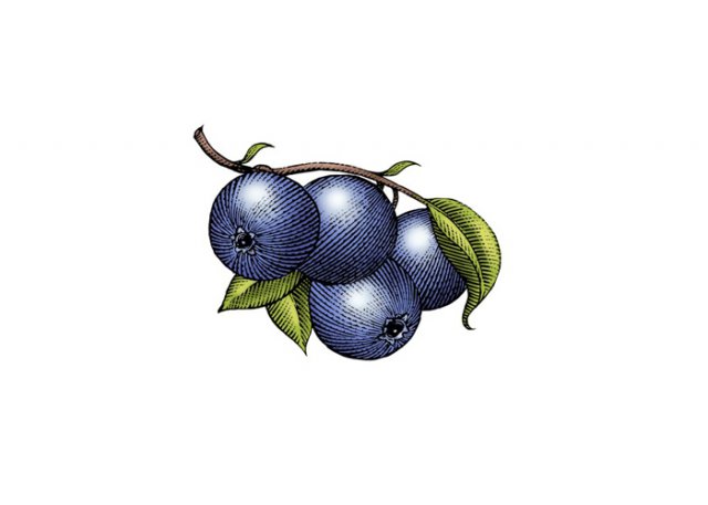 Blueberries-2