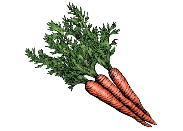 Carrots-3