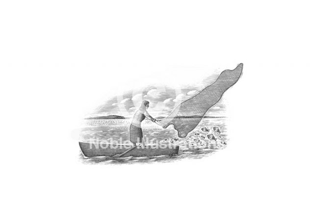 Casting-a-financial-net