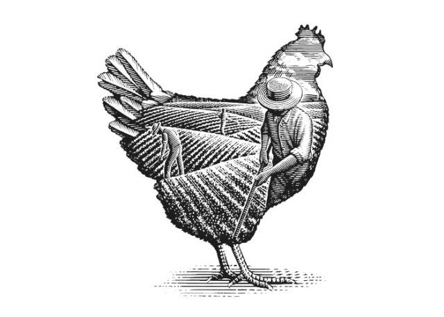 Chicken-Farmer