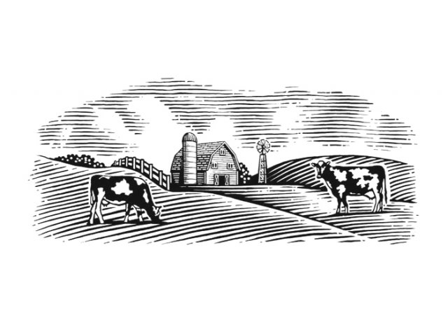 Dairy-Farm