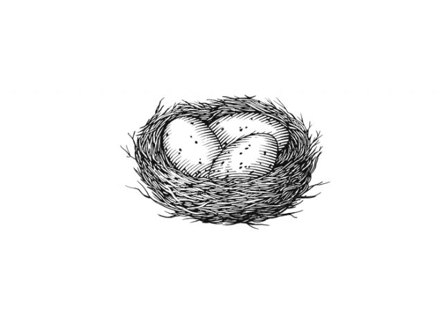 Egg-nest