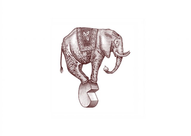 Elephant-3