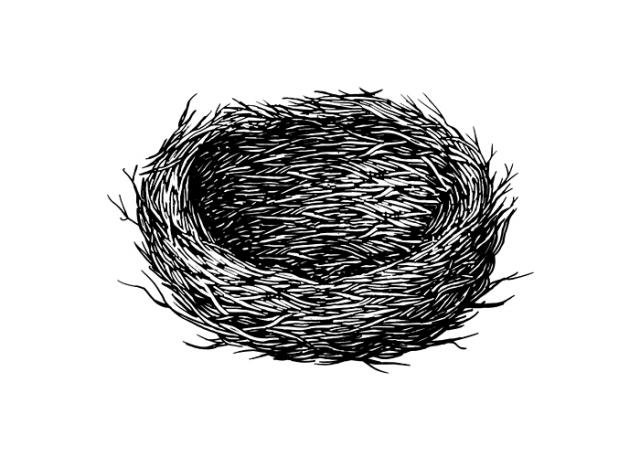 Empty-Nest-art