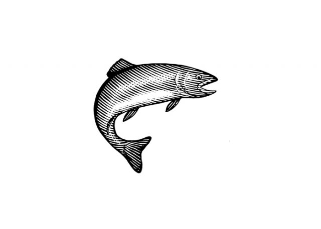 Fish-Icon