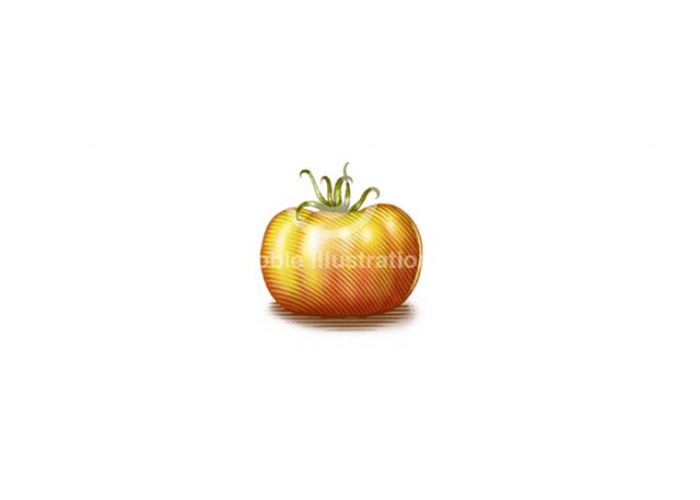 Garden-Tomato