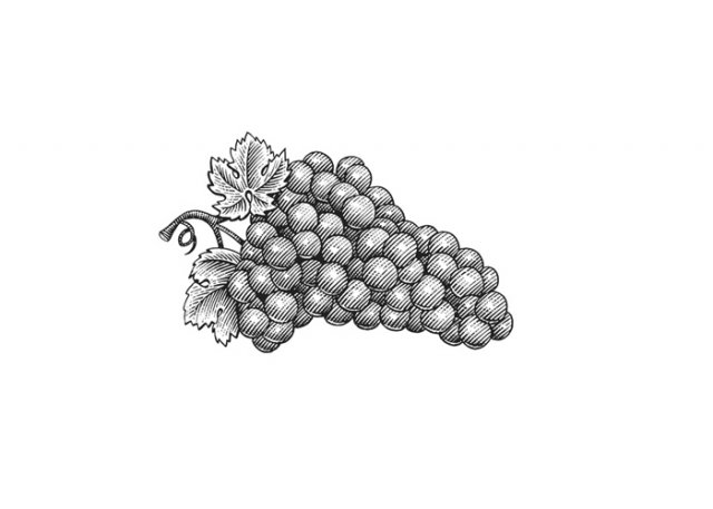 Grapes-3
