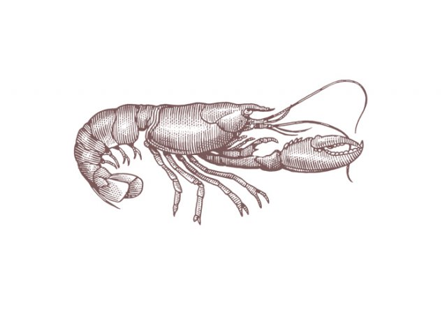 Lobster-Woodcut