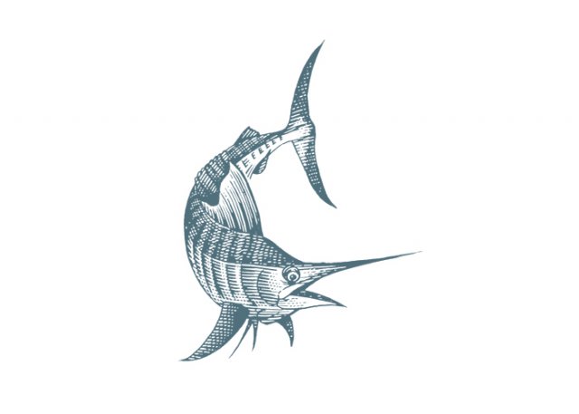 Marlin