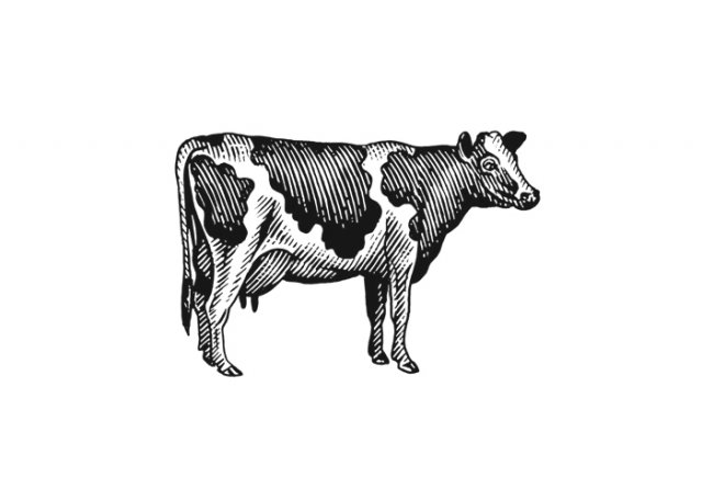 MilkCow