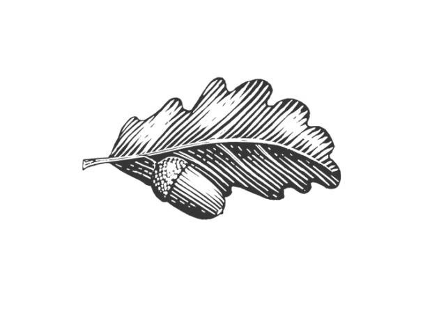 Oak-Leaf-Woodcut