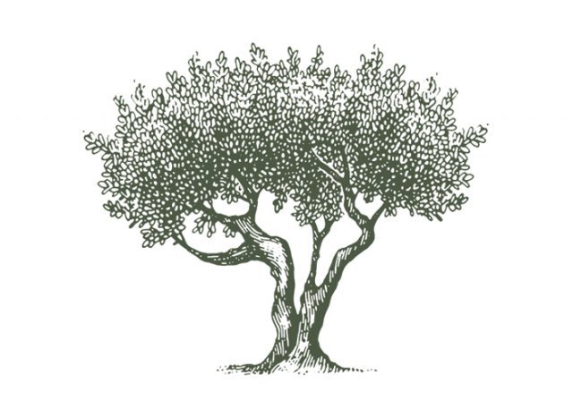 Olive-Tree-art-1