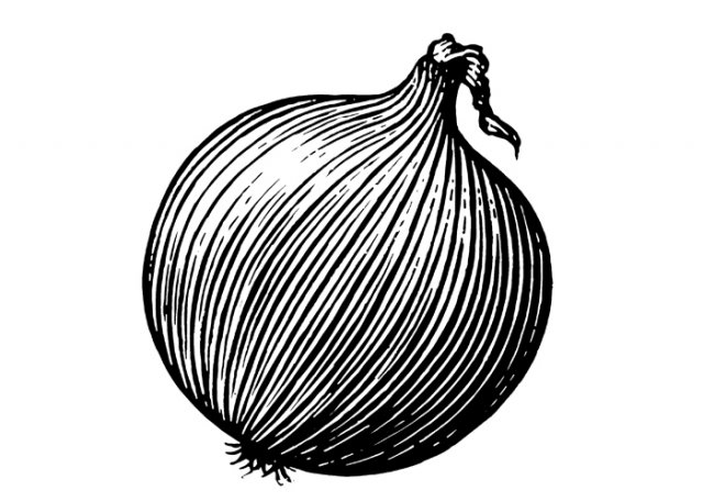 Onion-art-1