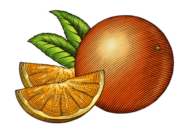 Oranges-art-2