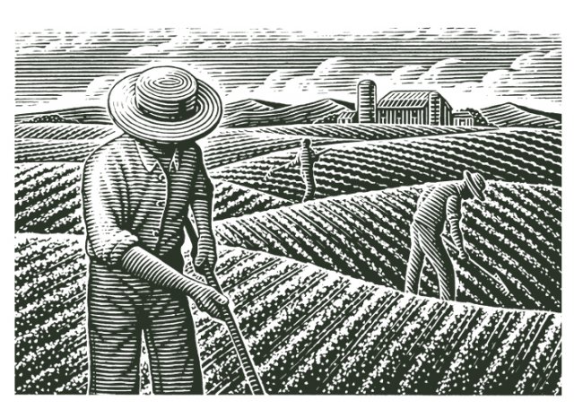 Organic-Farming-Scene