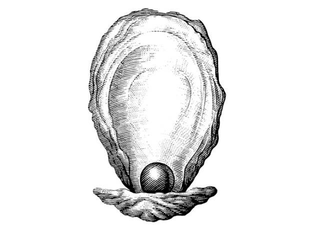 Oyster-and-Pearl