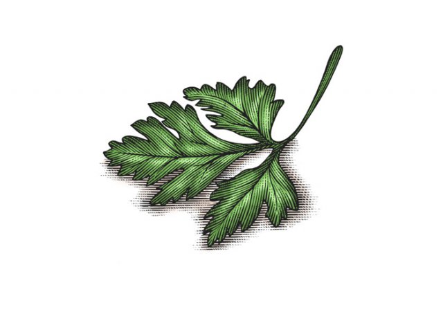 Parsley