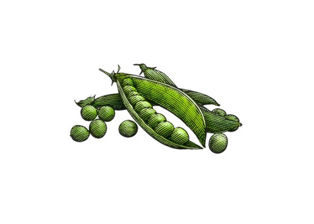 Peas-art