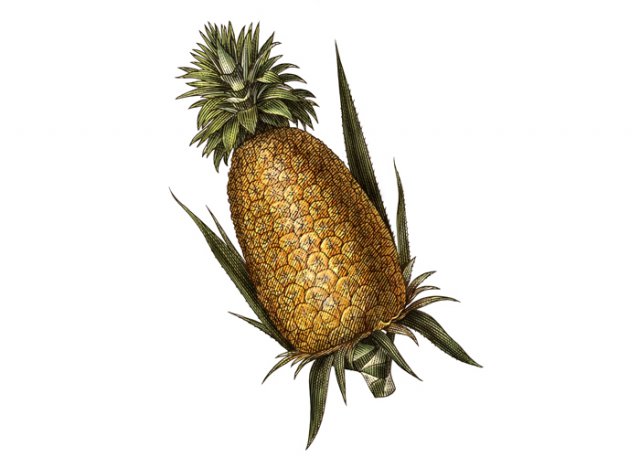 Pineapple-art-color
