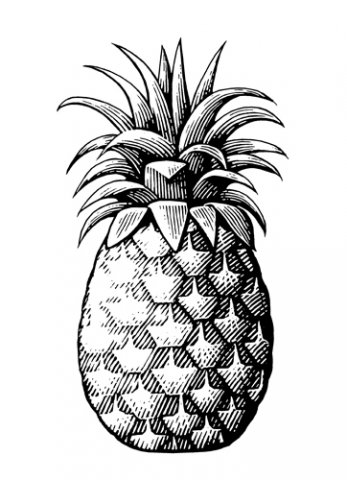 Pineapple-art