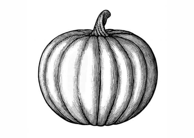 Pumpkin-rt