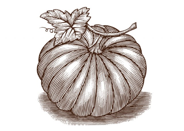 Pumpkin-woodcut