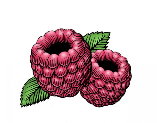 Raspberry