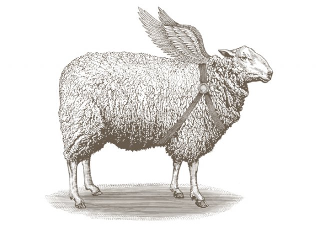 Sheep-art-copy