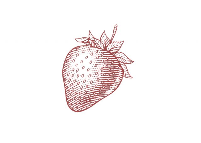 Strawberry_woodcut