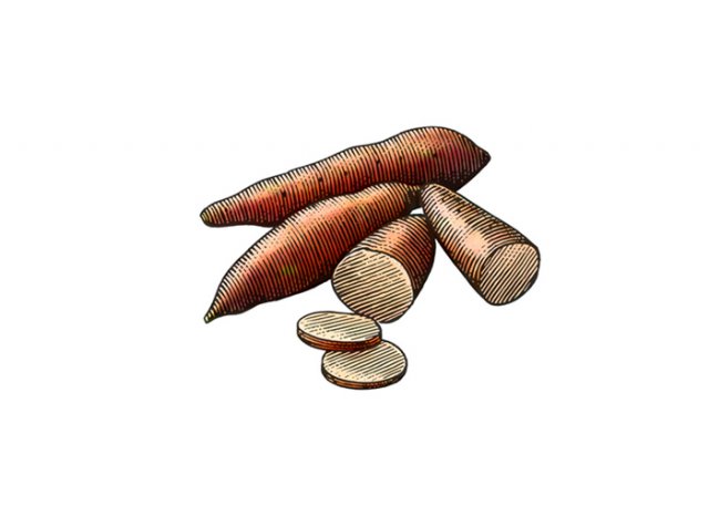 Sweet-Potatoes-Woodcut