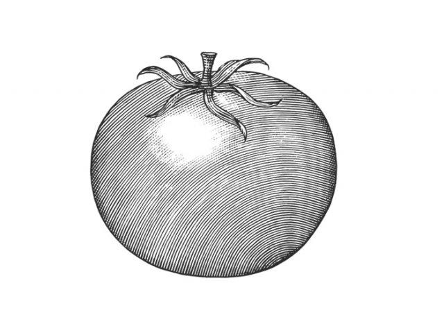 Tomato-4