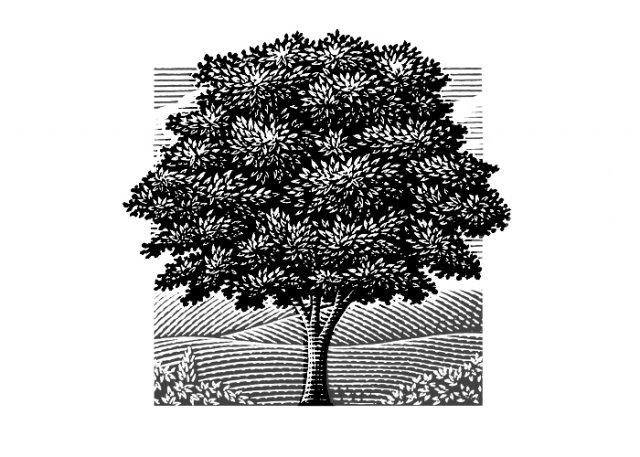 Tree-Landscape