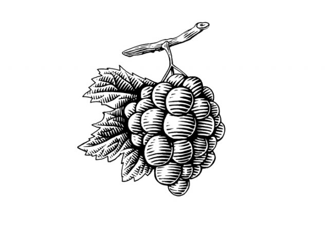 Woodcut-Grapes