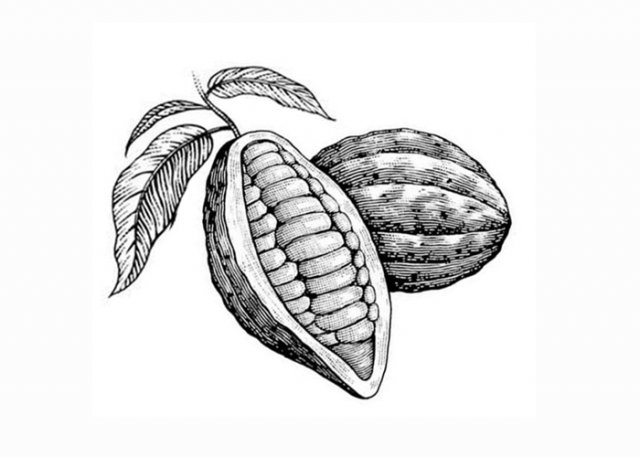 cacao_pods