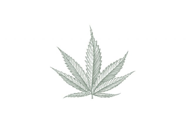 cannabis