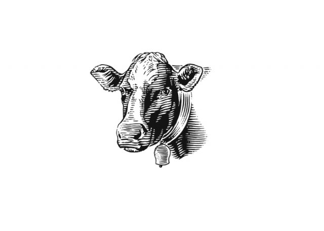 cow-9
