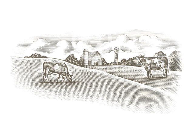 dairy_farm