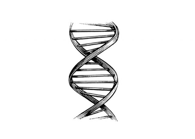 double-helix-dna