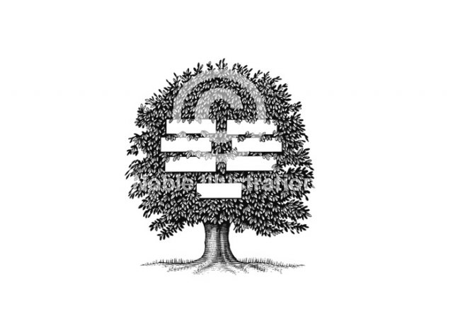 family-tree-art