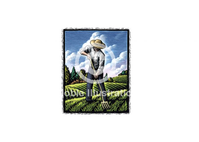 farmer-field