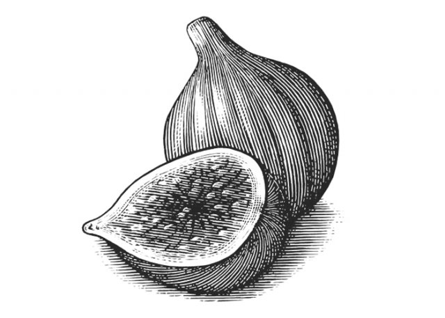 figs-art