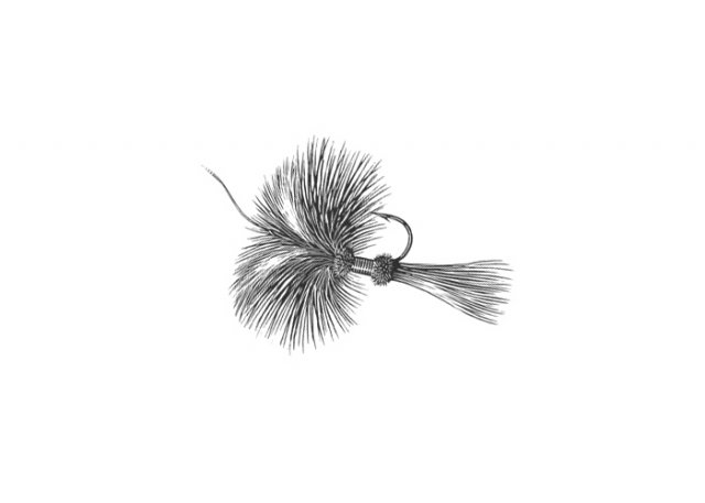 fishing_fly