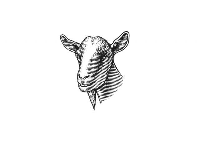 goat-art-2