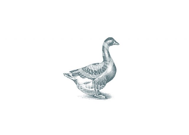 goose-icon