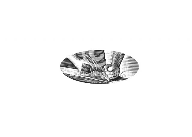 hands-and-carving-tool